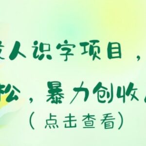 冷门成人识字创业项目拆解 小白易上手的低门槛盈利玩法-雨叶虚拟资源网