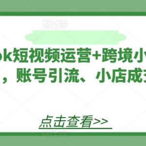 TikTok短视频及跨境小店运营实操全教程 覆盖引流到成交全环节-雨叶虚拟资源网
