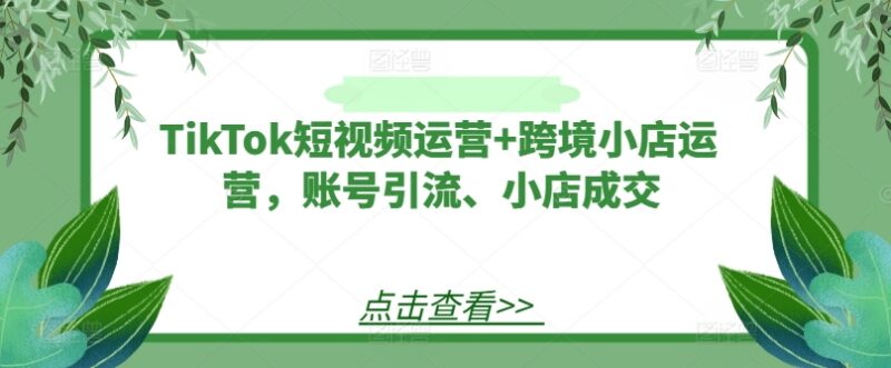 TikTok短视频及跨境小店运营实操全教程 覆盖引流到成交全环节