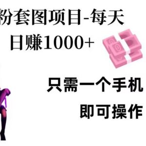 男粉私域项目全流程实操教程 单手机操作可实现日入千元-雨叶虚拟资源网
