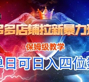 悟空直搜拼多多店铺拉新保姆级教程 扶持期单日收益可达四位数-雨叶虚拟资源网