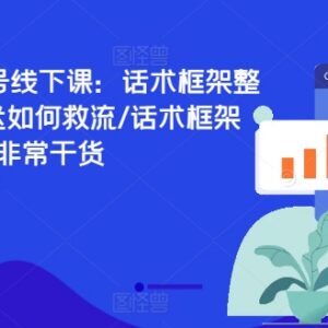 2024年6月直播运营线下课 话术设计救流投放实操干货教程-雨叶虚拟资源网