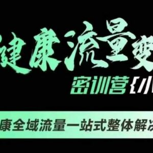 千万级大健康变现线下课 全域流量一站式落地实操解决方案-雨叶虚拟资源网