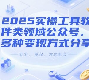 2025工具软件类公众号运营攻略 多种可落地变现方式分享-雨叶虚拟资源网