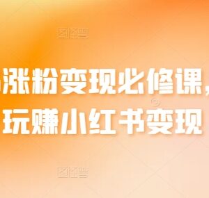 小红书涨粉变现系统教程 起号运营到盈利全流程教学-雨叶虚拟资源网