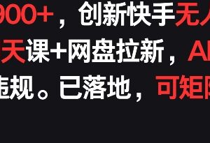 快手无人直播社交课结合网盘拉新玩法 防违规可矩阵稳定获收益-雨叶虚拟资源网