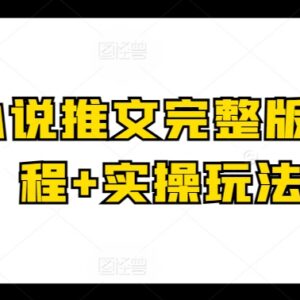 2024小说推文完整版基础课程 附故事混剪实操玩法教学-雨叶虚拟资源网