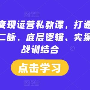 小红书IP变现运营私教课 从0到1掌握起号实操与变现全流程-雨叶虚拟资源网