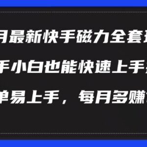 2024年9月快手磁力最新玩法教程 新手零基础易上手可实操-雨叶虚拟资源网