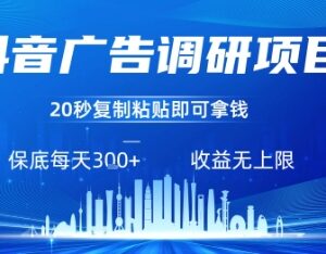 抖音广告调研零撸项目玩法 复制粘贴操作任务不限量收益稳定-雨叶虚拟资源网