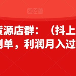 拼多多抖上拼无货源店群实操攻略 无需推广刷单落地玩法教程-雨叶虚拟资源网