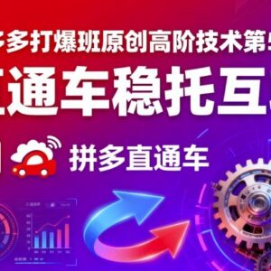 拼多多打爆班高阶技术第51期 直通车稳托互转实操教程-雨叶虚拟资源网