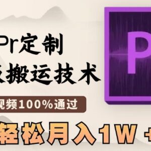 Pr定制模板搬运中视频过审技巧 新手易上手多平台可变现-雨叶虚拟资源网