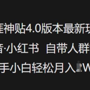 天涯神贴4.0最新玩法 抖音小红书流量变现新手操作教程-雨叶虚拟资源网