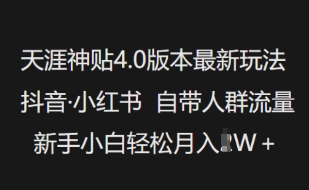 天涯神贴4.0最新玩法 抖音小红书流量变现新手操作教程