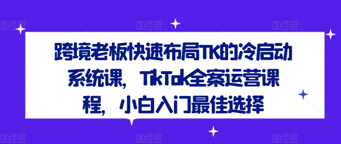TikTok全案运营系统课 跨境卖家TK冷启动入门实操教程