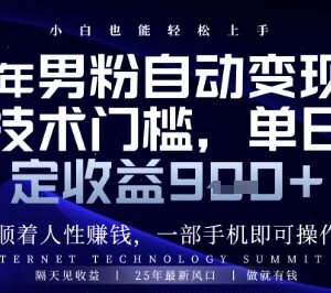 低门槛男粉全自动变现项目拆解 操作简单可实现稳定日入千元-雨叶虚拟资源网