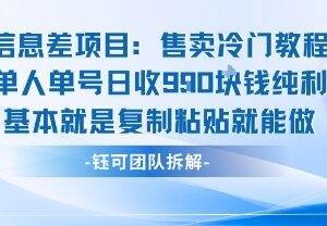 冷门信息差项目拆解 售卖小众教程单人单号日入近千元易操作-雨叶虚拟资源网