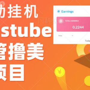 Visionstube愿景管赚美金项目详解 单设备单日可赚30-50美金-雨叶虚拟资源网