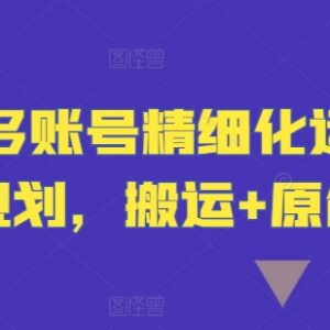 2024短剧多账号精细化运营指南 搬运与原创玩法全规划-雨叶虚拟资源网