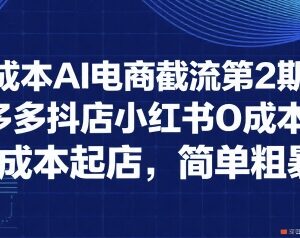 0成本AI电商截流第2期 淘宝拼多多小红书多平台无成本起店教程-雨叶虚拟资源网