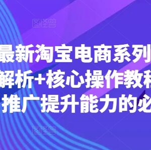 2024年淘宝电商运营推广系列课 底层逻辑解析与核心实操教程-雨叶虚拟资源网