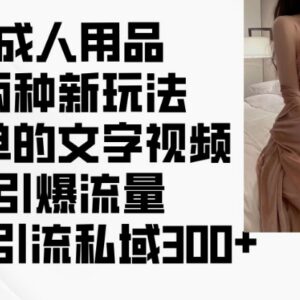 成人用品私域引流实操技巧 文字视频图文玩法日引精准流量300+-雨叶虚拟资源网