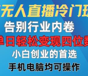微信视频号无人直播冷门玩法 低门槛变现新手操作教程-雨叶虚拟资源网