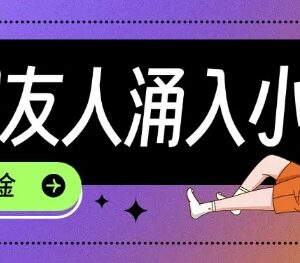 TikTok用户涌入小红书 新手如何利用信息差快速起号抓变现风口-雨叶虚拟资源网