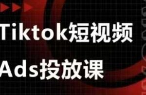TikTok短视频Ads投放实战课程 含选品投流素材剪辑全流程教学-雨叶虚拟资源网