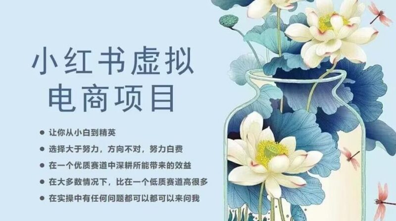 小红书虚拟电商从0到1实操课程 20节干货助力小白进阶精英