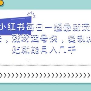 小红书专升本英语每日一题玩法 新手低门槛起号涨粉变现指南-雨叶虚拟资源网