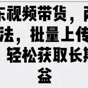 京东短视频带货两种玩法解析 批量发视频轻松拿长期稳定收益-雨叶虚拟资源网