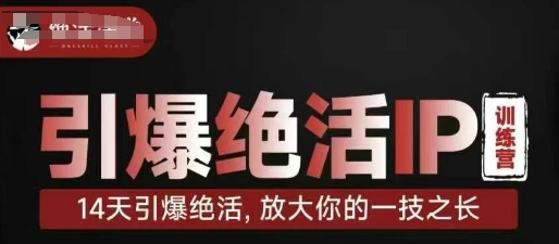 14天绝活IP训练营教程 零基础打造个人IP放大自身一技之长