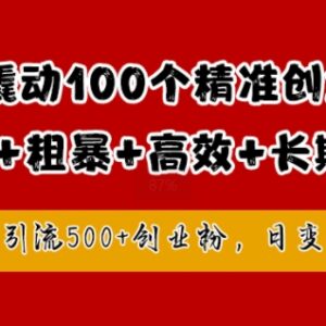 2024年1元引流精准创业粉实操 低风险日引500+可快速变现-雨叶虚拟资源网