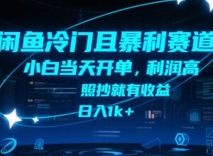闲鱼冷门高盈利副业玩法揭秘 低门槛小白上手快当日可开单-雨叶虚拟资源网