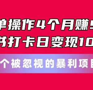 小红书打卡变现项目实操教程 4个月赚9万单日入千玩法解析-雨叶虚拟资源网