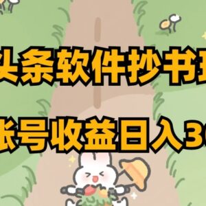 微头条软件抄书玩法详解 单账号日入300+实操攻略分享-雨叶虚拟资源网