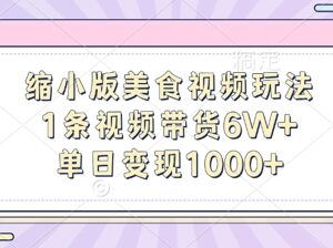 缩小版美食视频玩法详解 AI制作高转化带货短视频实操教程-雨叶虚拟资源网