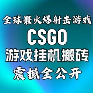 CSGO饰品全自动捡漏搬砖项目拆解 手机操作即可实现稳定副业增收-雨叶虚拟资源网