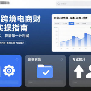 2025跨境电商财务实操指南 从后台操作到利润核算全流程教学-雨叶虚拟资源网