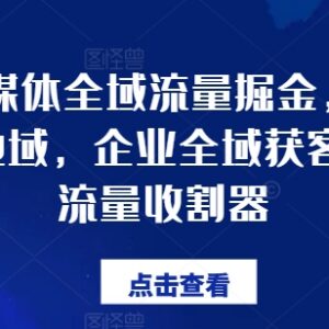 企业公域私域地域三域协同获客 全域流量运营实操教程-雨叶虚拟资源网