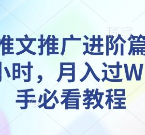 2025小说推文推广进阶教程 新手低门槛副业入门全指南-雨叶虚拟资源网