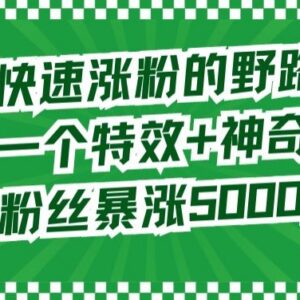 抖音快速涨粉实用技巧 两款工具助力新手账号涨粉5000以上-雨叶虚拟资源网