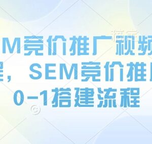 SEM竞价推广0-1搭建全流程教程 竞价运营实操学习课程-雨叶虚拟资源网