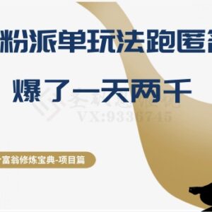 兼职粉派单跑匿名信玩法解析 实操单日最高可盈利两千元-雨叶虚拟资源网