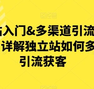 独立站入门与多渠道引流布局指南 详解获客实操全攻略-雨叶虚拟资源网