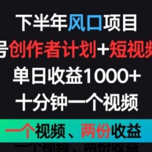 2024下半年视频号风口项目 创作者计划+带货双收益玩法详解-雨叶虚拟资源网