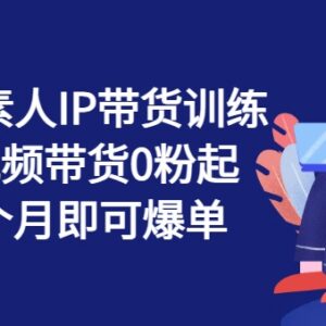 繁星计划素人IP带货训练营 短视频0粉起号爆单实操课程-雨叶虚拟资源网