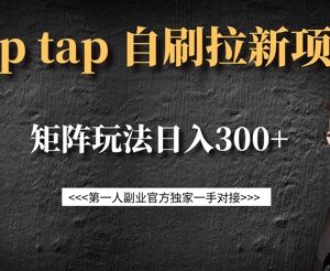 TapTap拉新自刷项目玩法详解 单新用户14元矩阵操作日入300+-雨叶虚拟资源网